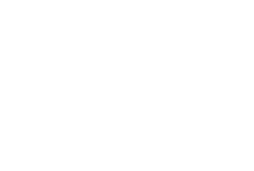 Logo acting conseil
